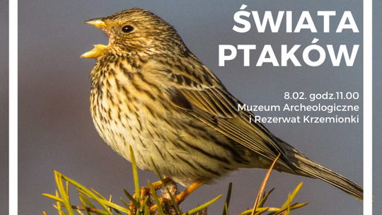 Tajemnice Świata Ptaków