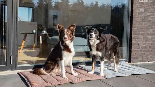 Taras – niezawodne miejsce na relaks 