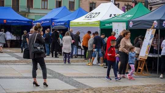 Targi Pracy na kieleckim Rynku