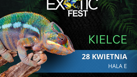 Terrarystyka, akwarystyka i botanika zagości w Targach Kielce już po raz trzeci!