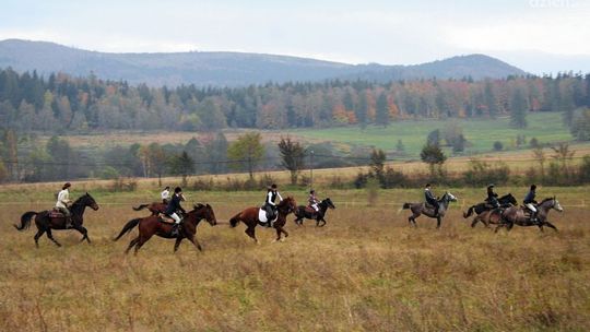 Tomasz Marcinowski: W tym roku Hubertus będzie skromniejszy