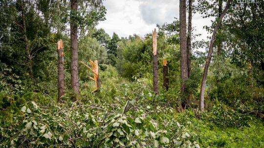 Trąba powietrzna w okolicy Morawicy? [video]
