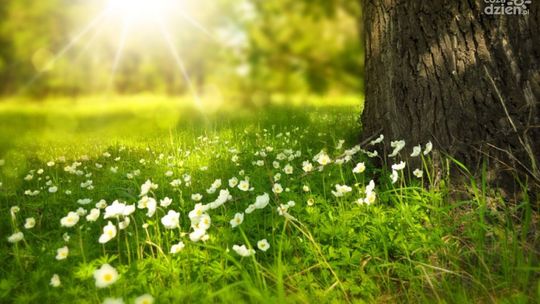 Trudny czas dla alergików