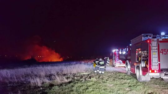 Trwa czarna seria pożarów traw 