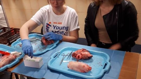 Uczniowie "Skłodowskiej" poznali studenckie życie