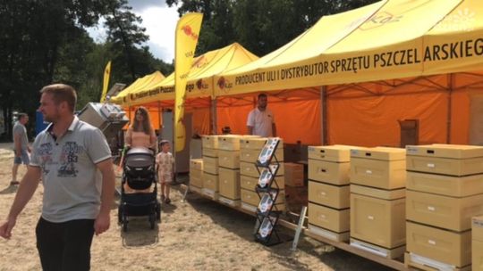 Udane Świętokrzyskie Święto Pszczoły w Bałtowie