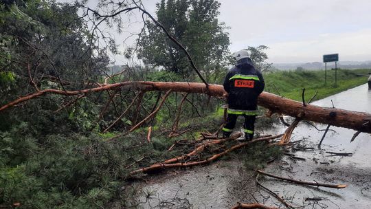 Ulewne deszcze przysporzyły pracy strażakom