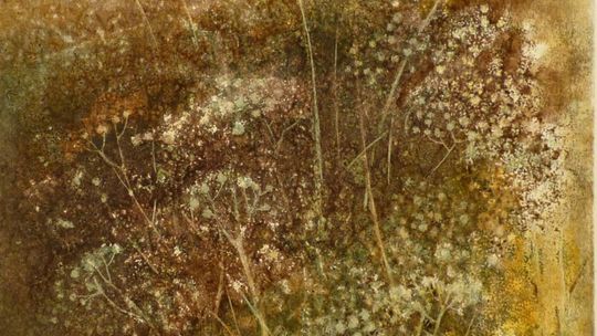 Ulotność na obrazach Aleksandry Potockiej-Kuc