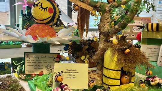 Urocze bzyczki w różnym wydaniu w Starostwie Powiatowym