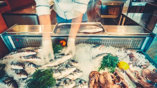 Urządzenia chłodnicze w gastronomii — gwarancja świeżych i trwałych produktów spożywczych