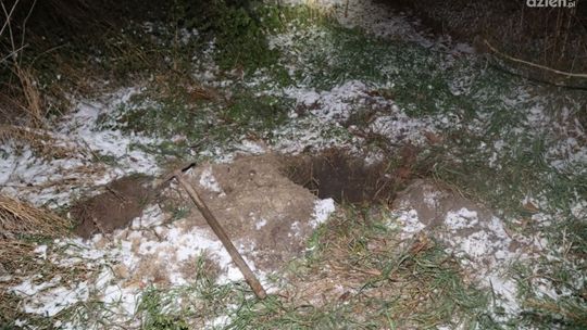 Uśmiercili szczeniaki! Grozi im 5 lat pozbawienia wolności