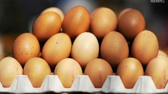Uwaga - jaja z Salmonellą w naszej okolicy