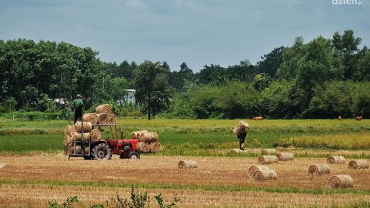 Uważajmy podczas prac rolniczych