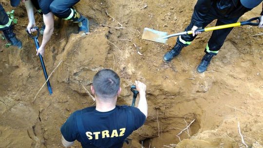 Uwolnili psa zaklinowanego w lisiej jamie