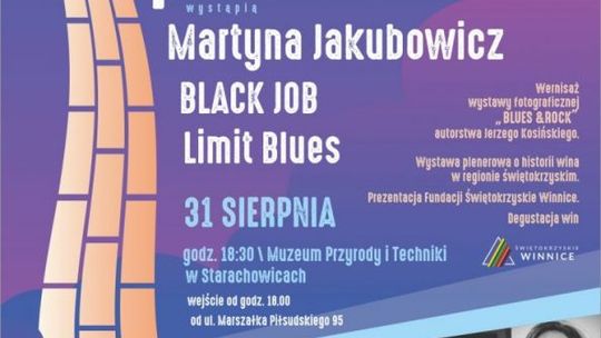 VIII Festiwal Blues Pod Piecem