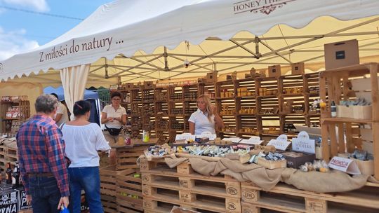 W Bałtowie królują pszczoły