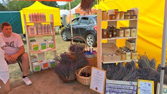 W Bałtowie odbędzie się16- ste Święto Pszczoły  