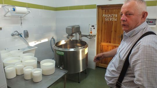 W Drygulcu sery robią