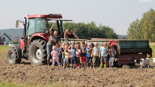 W gminie Daleszyce najmłodsi sprawdzili skąd się biorą ziemniaki?
