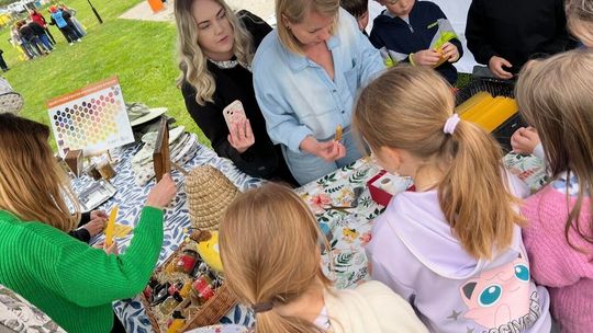W Kielcach powstała miejska pasieka edukacyjna z recyklingu W Kielcach powstała miejska pasieka edukacyjna z recyklingu