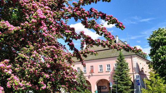 W Opatowie ruszyła rewitalizacja miasta