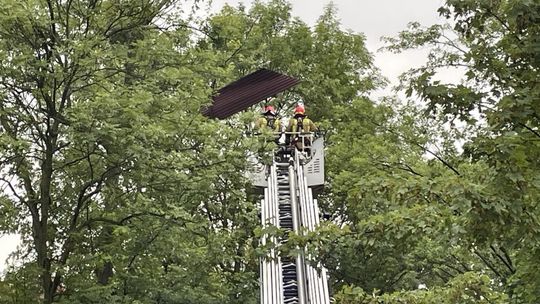 W Ostrowcu bez większych strat  po nawałnicy  