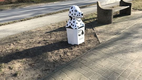 W Ostrowcu psie nieczystości trafiają do "psich" koszy  