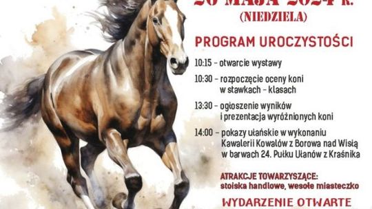 W Ożarowie znowu będą prezentacje koni zimnokrwistych 