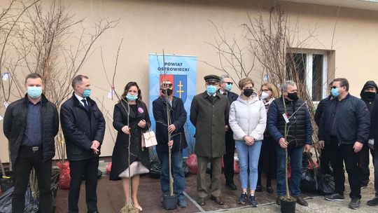 W trosce o pszczoły 