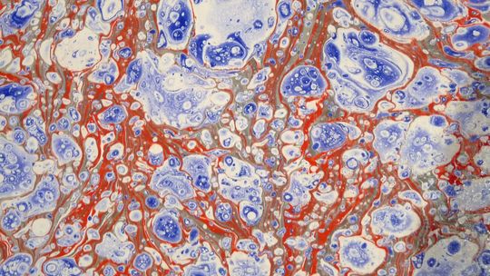 Warsztaty ebru w Starachowicach 