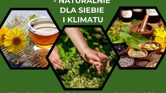 Warsztaty zielarskie w ostrowieckim starostwie 