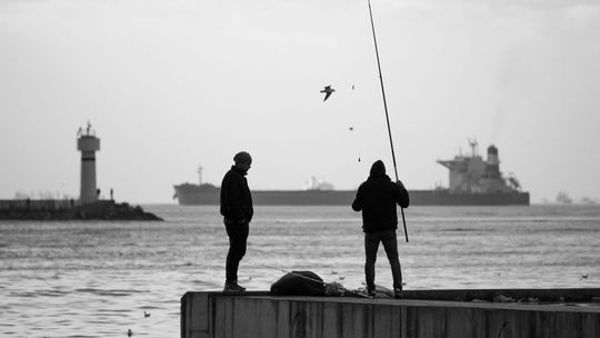 Wędkarstwo dla początkujących – co kupić w sklepie wędkarskim?