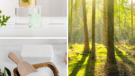 Weekendowe warsztaty i pokazy naukowe w Podzamczu