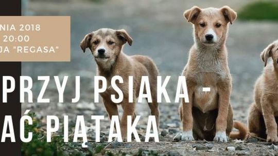 Wesprzyj psiaka - wpłać piątaka!