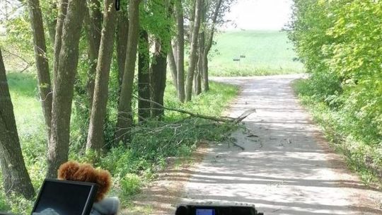 Wiatr oszczędził powiat ostrowiecki 