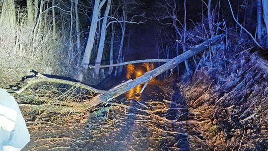 Wichura i pożary, żywioły z którymi zmagali się ostrowieccy strażacy 