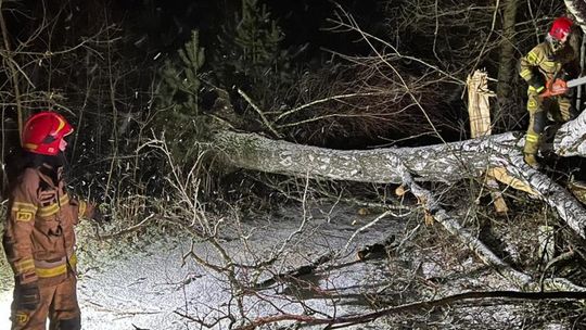 Wichura łaskawa dla Ostrowca 