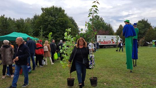 Więcej zieleni, mniej elektrośmieci