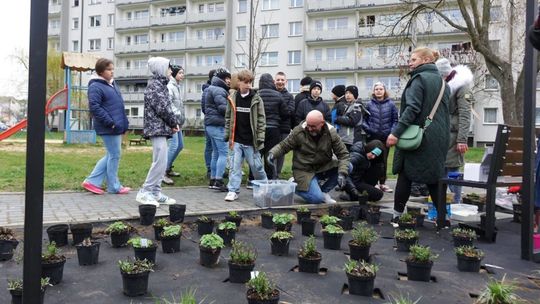 Więcej zieleni w Skarżysku – nowe nasadzenia, łąka kwietna i strefa relaksu