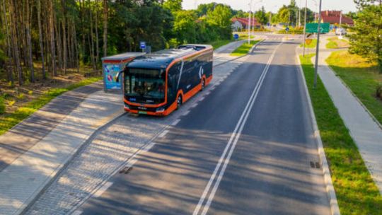 Większa grupa ostrowczan skorzysta z prawa do bezpłatnych przejazdów  