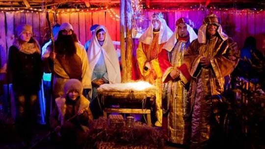 Wierzenia wigilijne w województwie świętokrzyskim