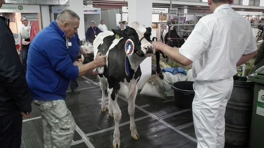 Wiesław Wyszkowski: Nasz powiat jest "czysty"