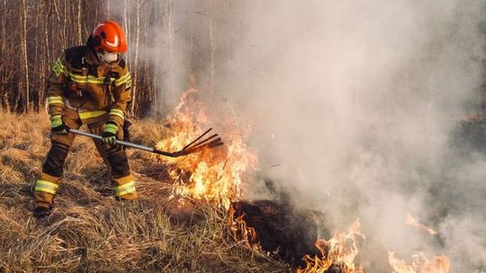 Wiosenne pożary traw – ciche zagrożenie, które wraca co roku