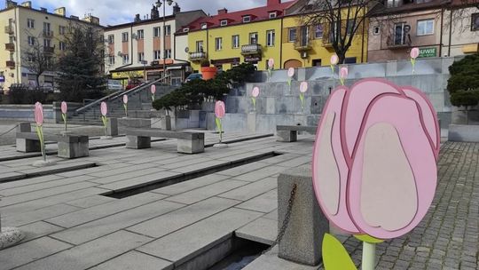 Wiosennie w ostrowieckim Rynku. To niespodzianka na Dzień Kobiet