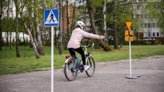 Wirtualne szkolenie na "pierwsze prawo jazdy"