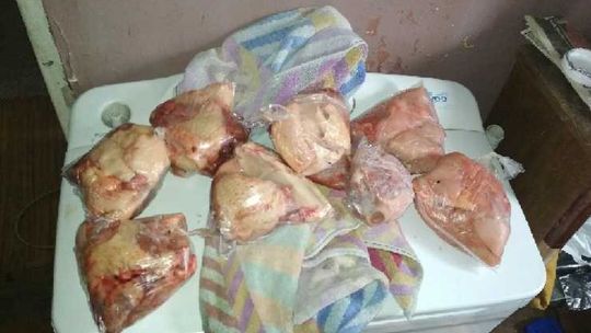 Włamał się do kurnika i ukradł drób