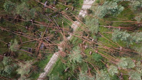 Wojewoda powołał sztab kryzysowy