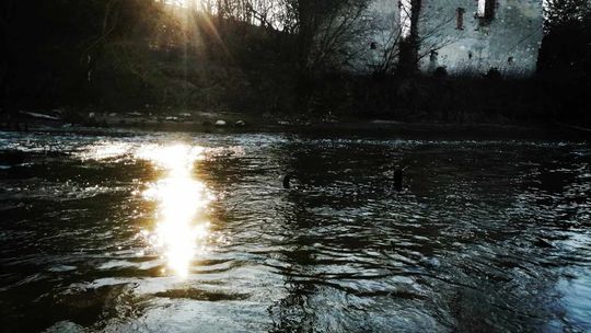 Wojewoda unieważnia decyzję samorządu z Ćmielowa o likwidacji Rudzkiego Parku Kulturowego
