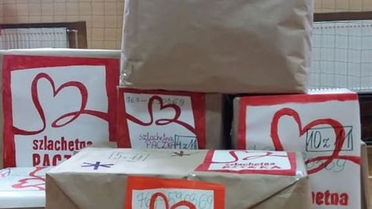 Wolontariusze poszukiwani