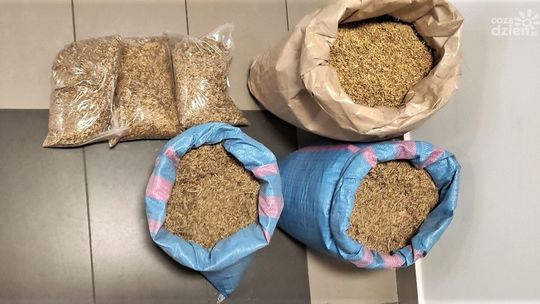 Wpadł na nielegalnej krajance